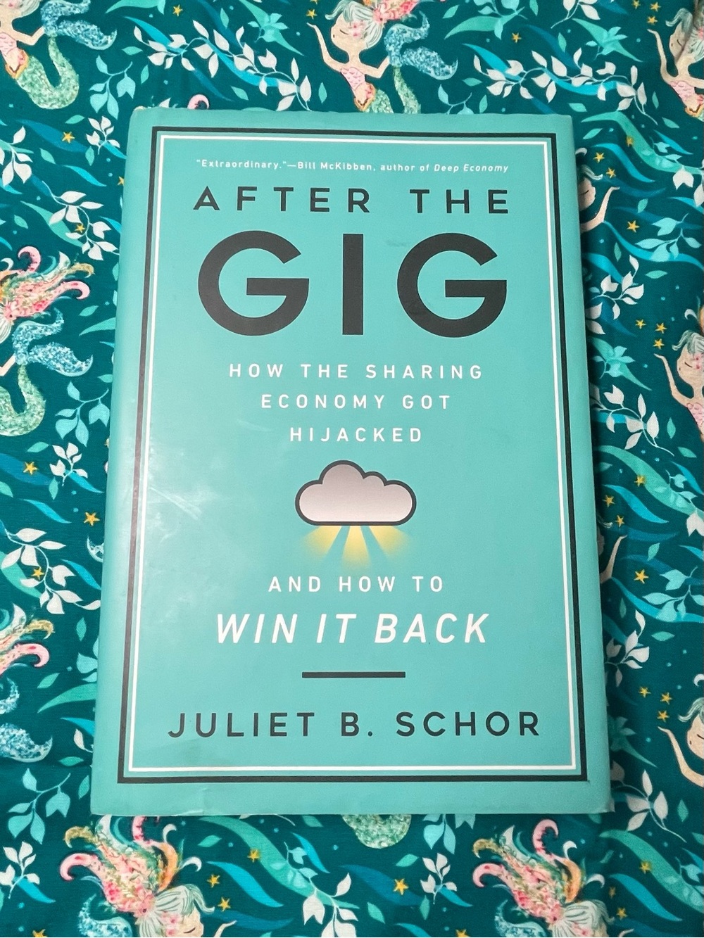 After the Gig by Juliet Schor ~ Hard Cover Entrepreneur Book